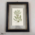 Antique Black Framed Fern Print | Small