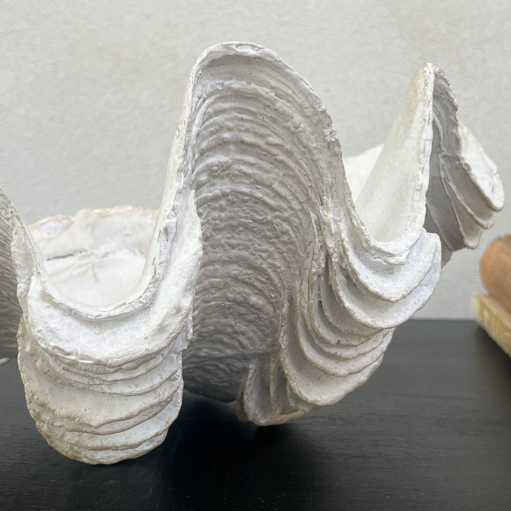 Decorative White Clam Shell