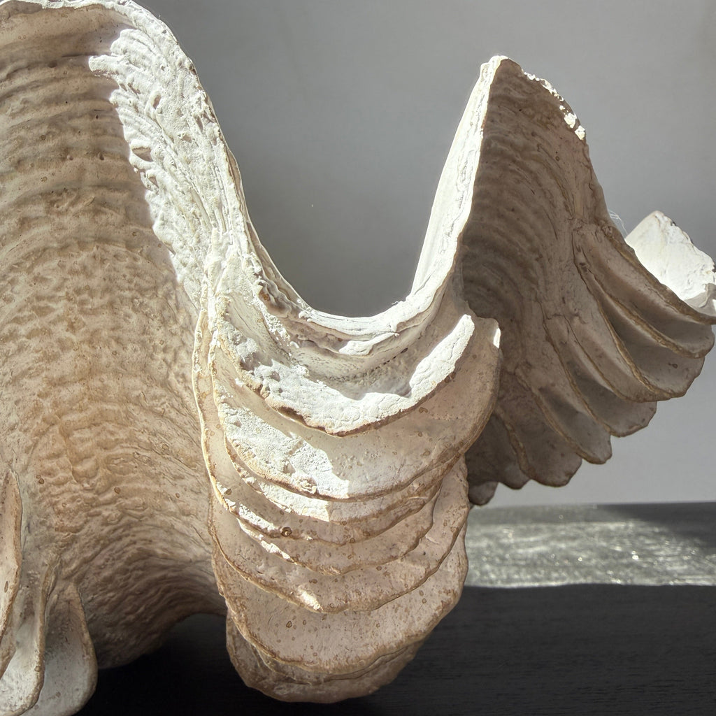 Decorative White Clam Shell