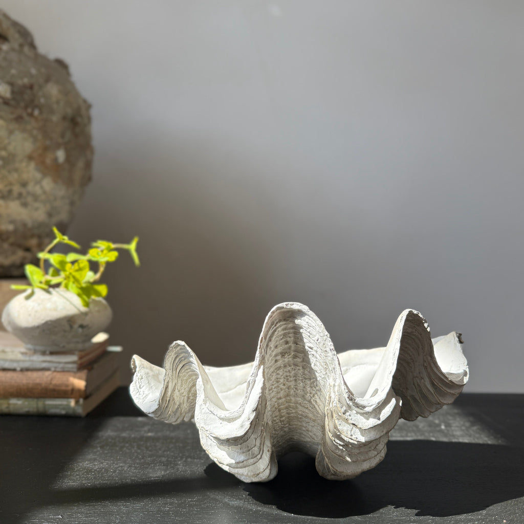 Decorative White Clam Shell