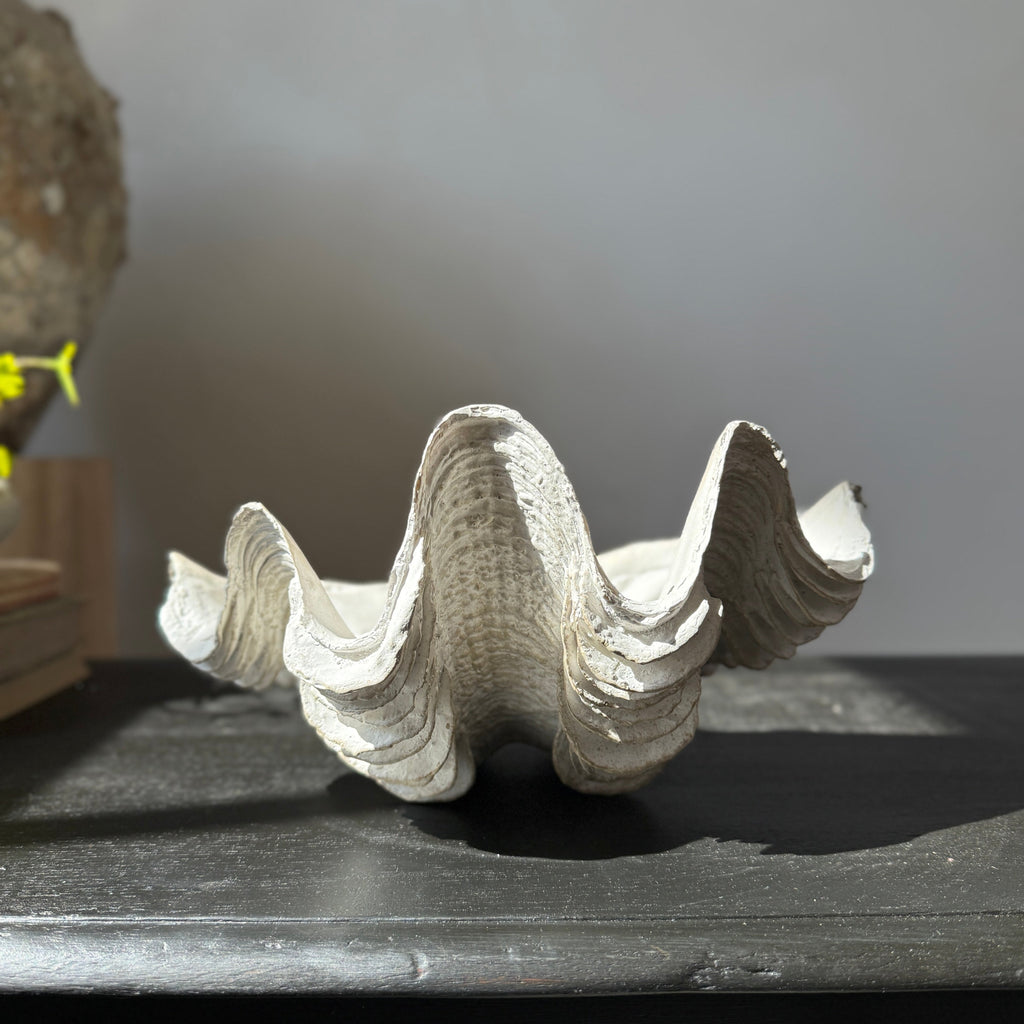 Decorative White Clam Shell