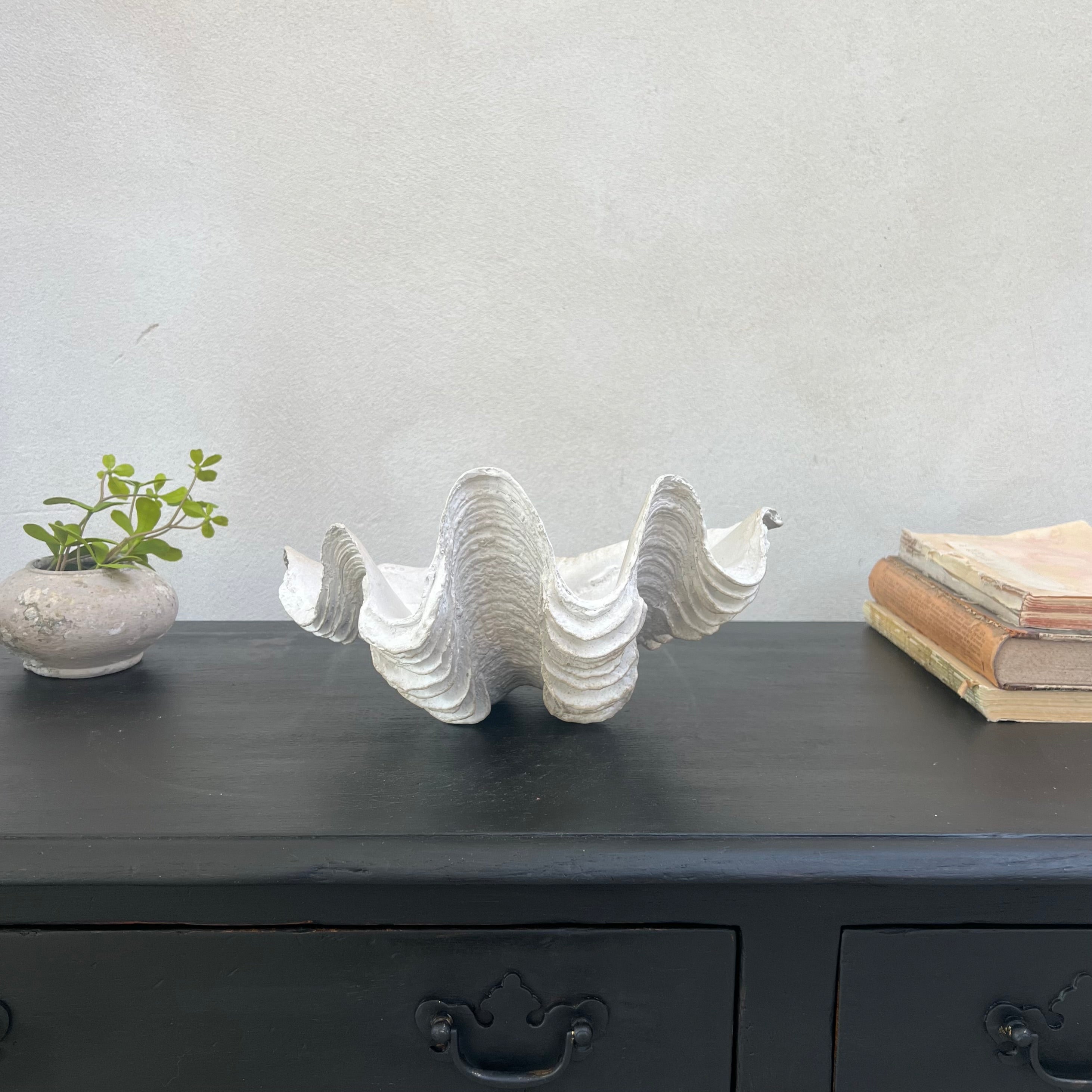 Decorative White Clam Shell
