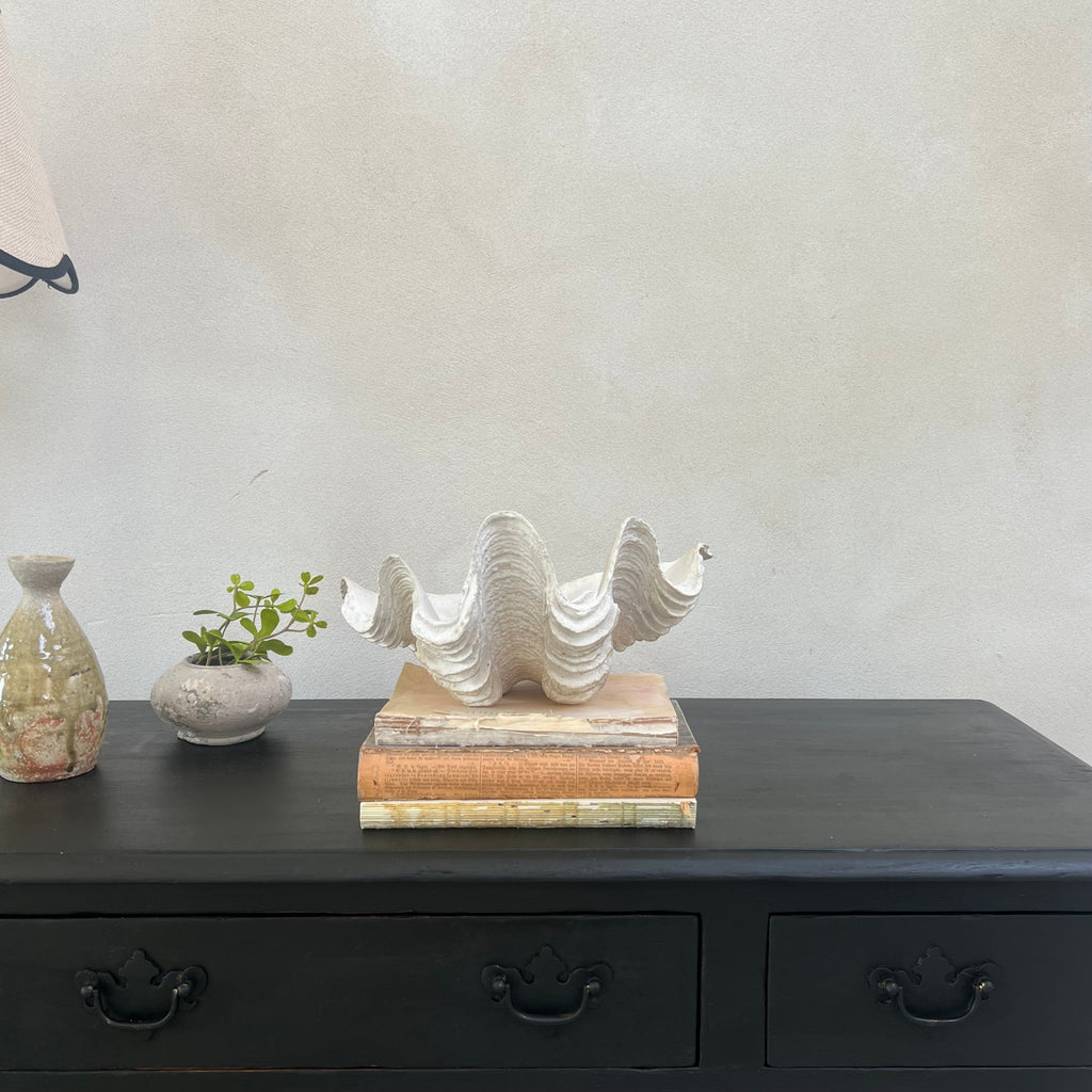 Decorative White Clam Shell