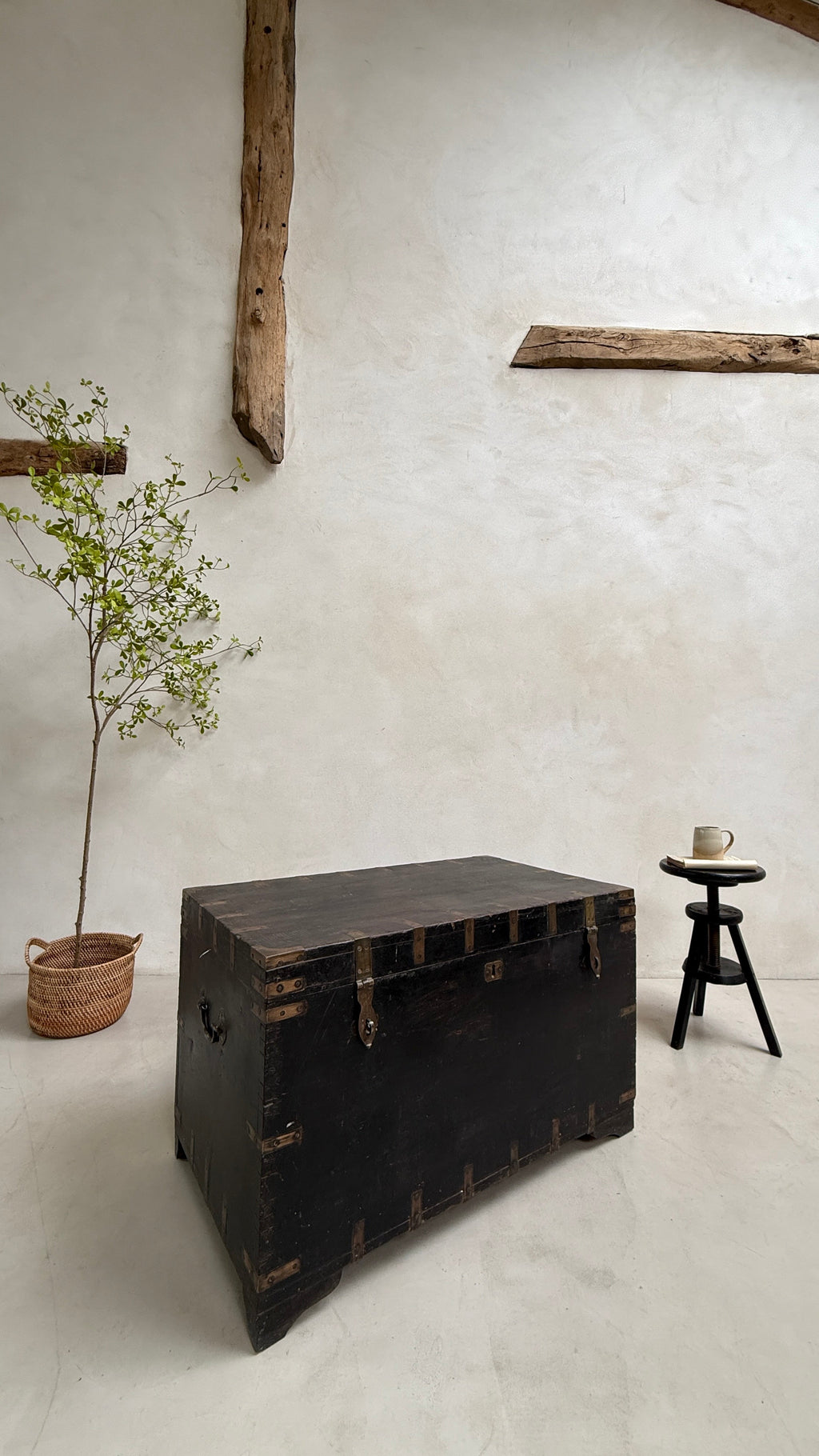 Large Antique Teak Merchant’s Trunk | Frieth