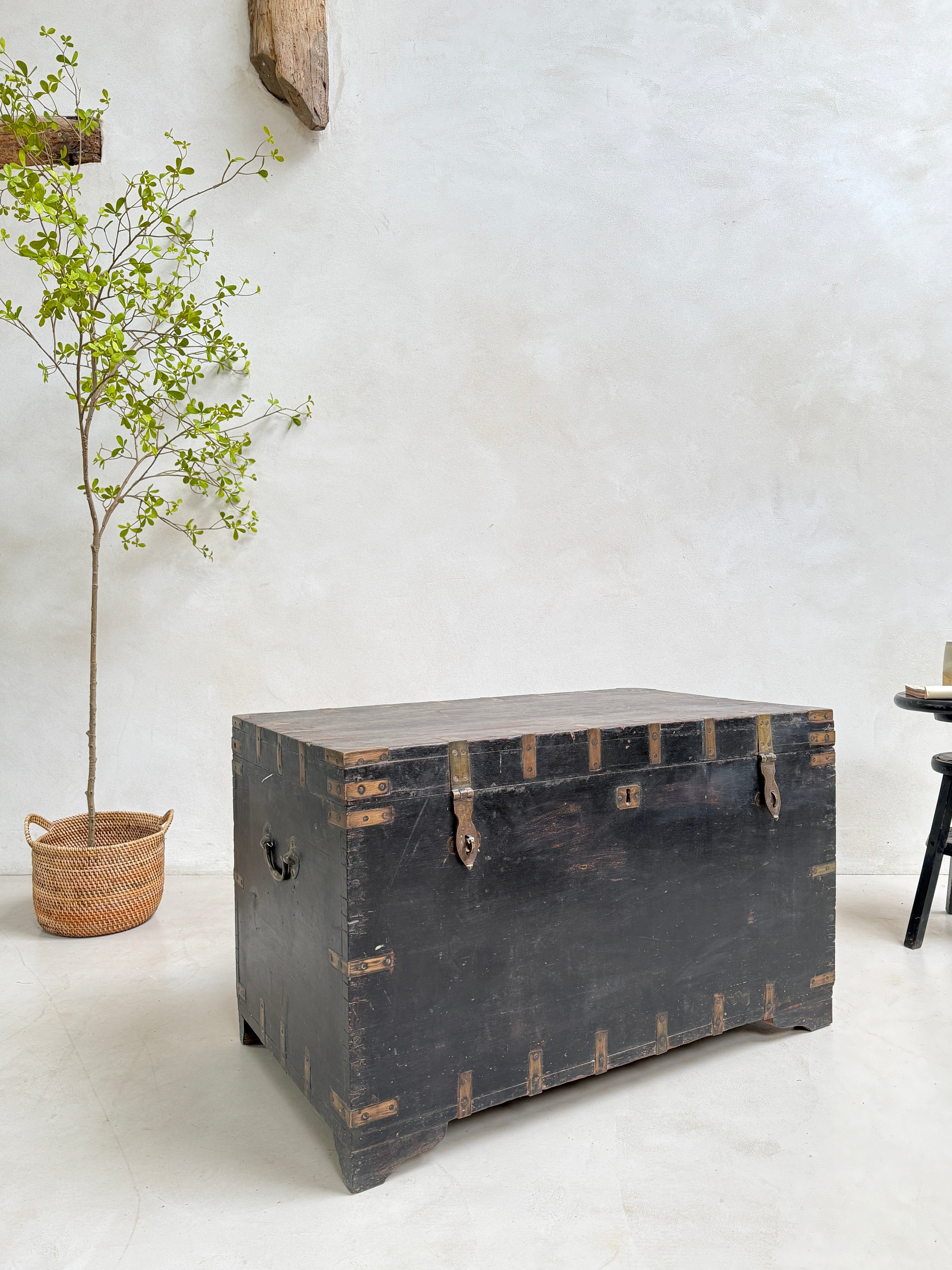 Large Antique Teak Merchant’s Trunk | Frieth