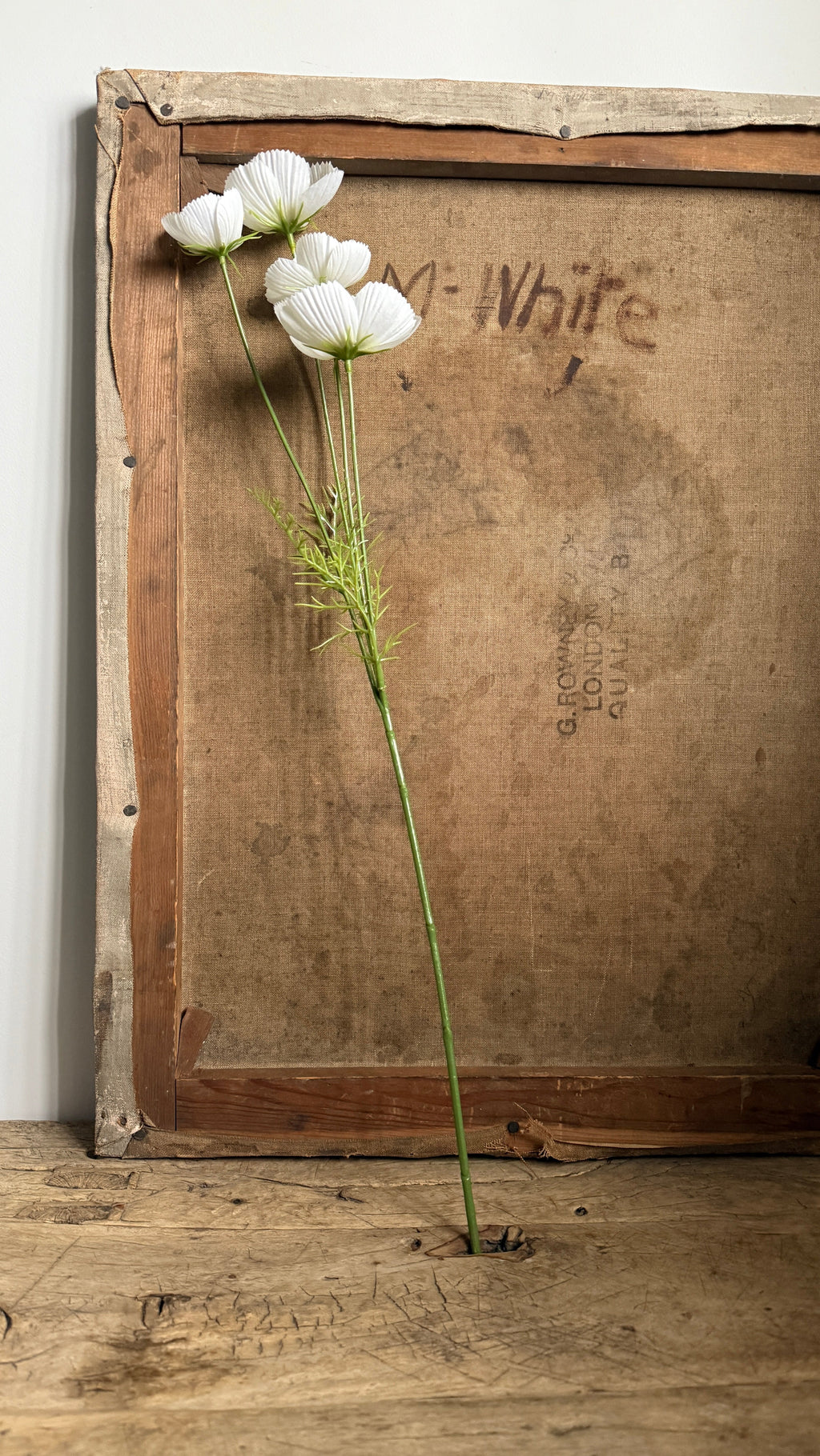 Faux Cosmos 61cm