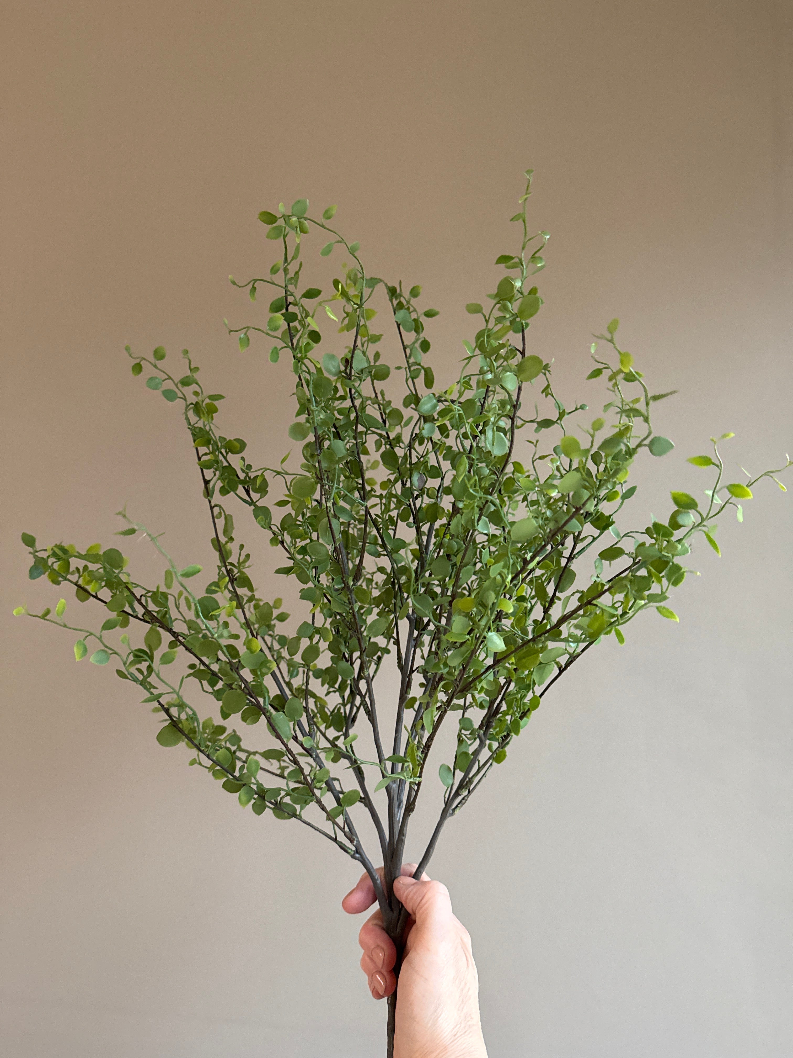Faux Muehlenbeckia leaf spray green 51cm