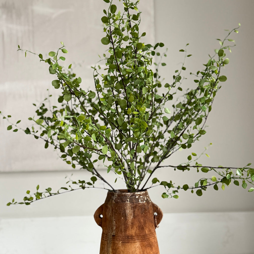 Faux Muehlenbeckia leaf spray green 51cm