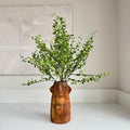 Faux Muehlenbeckia leaf spray green 51cm