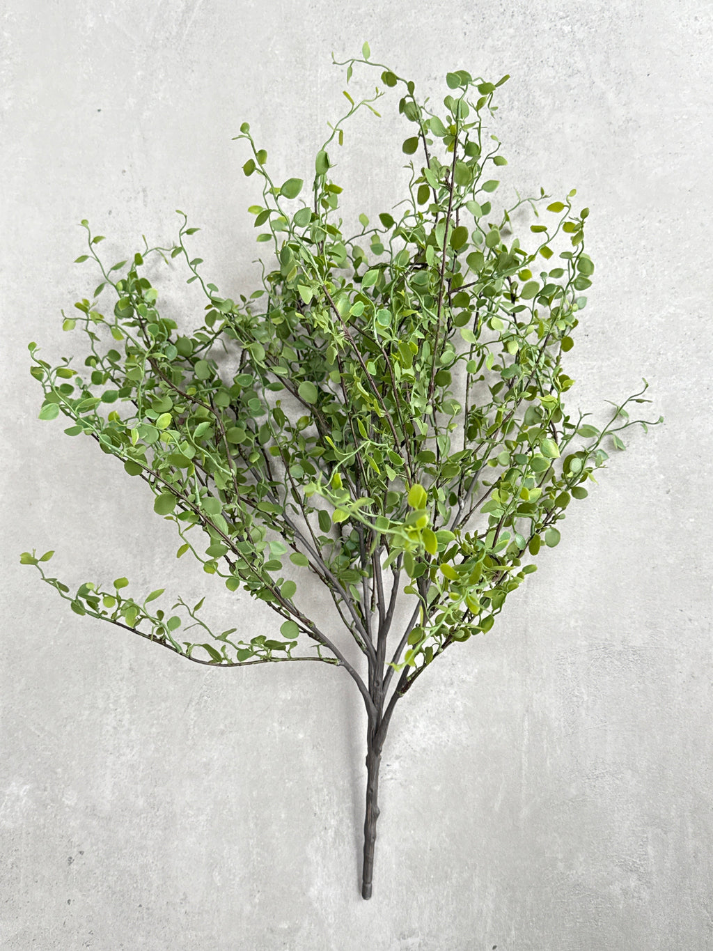 Faux Muehlenbeckia leaf spray green 51cm