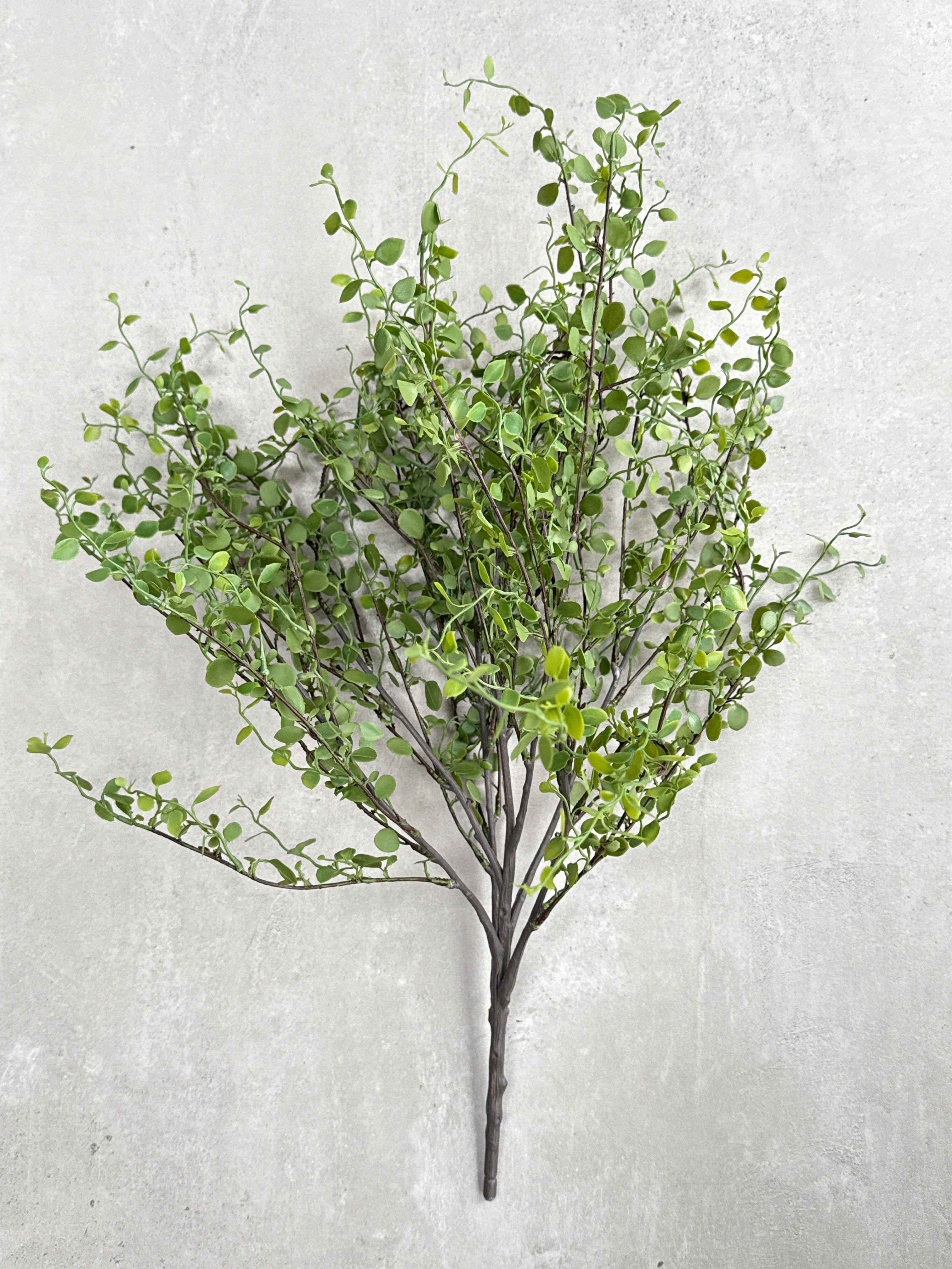Faux Muehlenbeckia leaf spray green 51cm