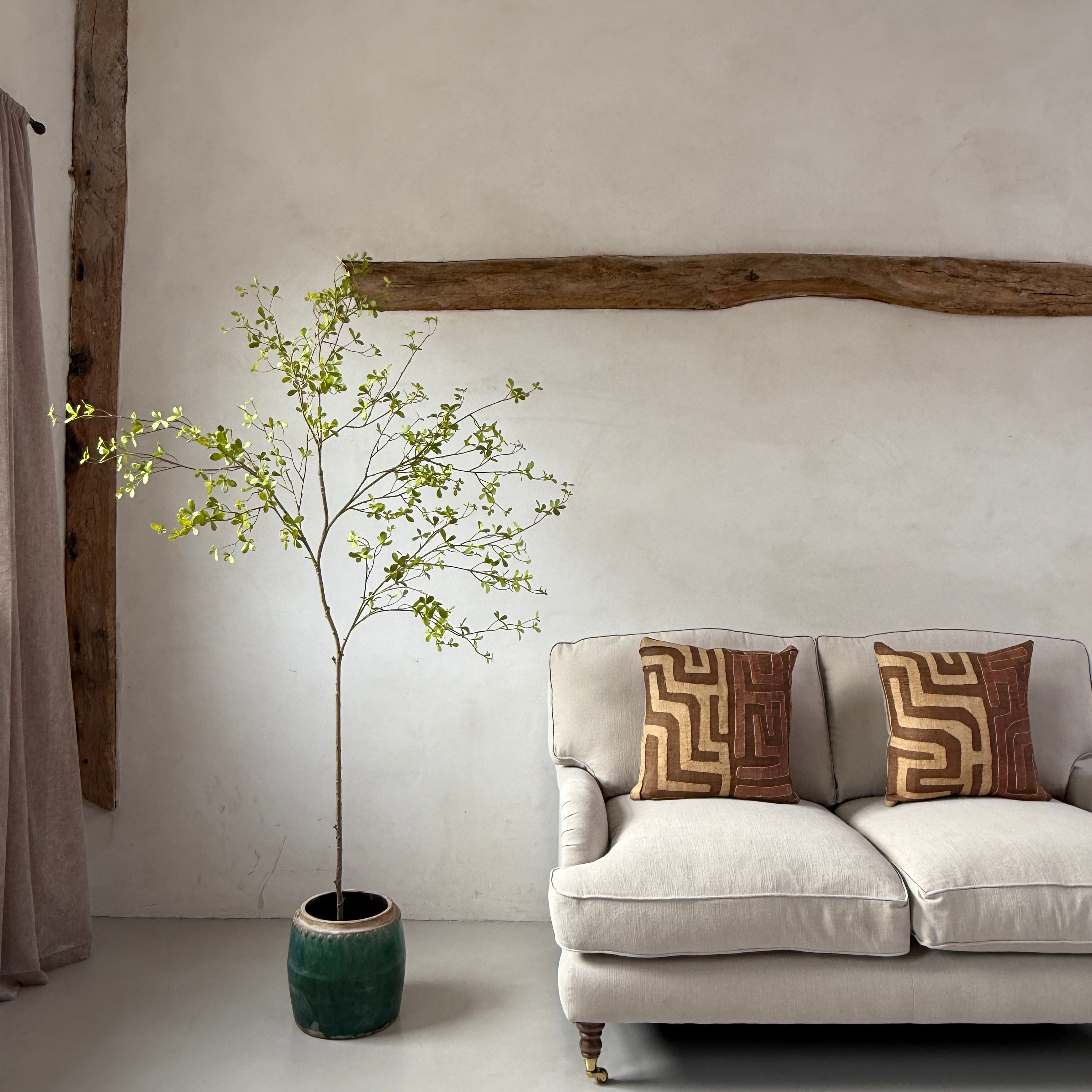 Faux potted Bucida Black Olive Tree 220cm