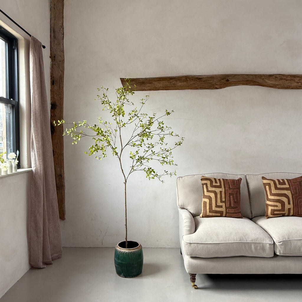 Faux potted Bucida Black Olive Tree 220cm