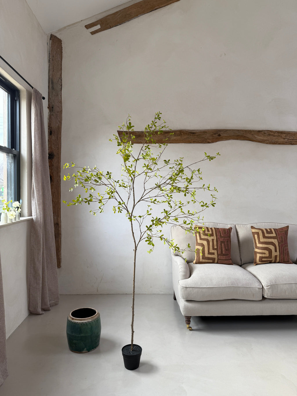 Faux potted Bucida Black Olive Tree 220cm
