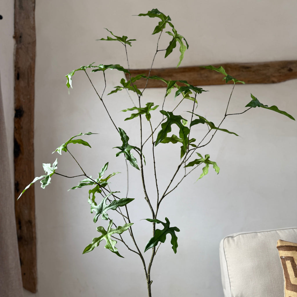 Faux potted fig tree 210cm