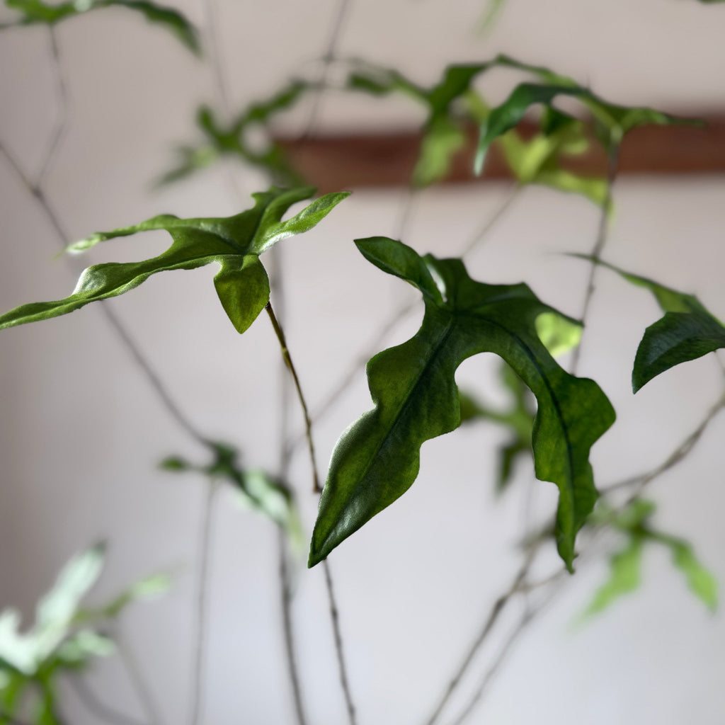 Faux potted fig tree 210cm