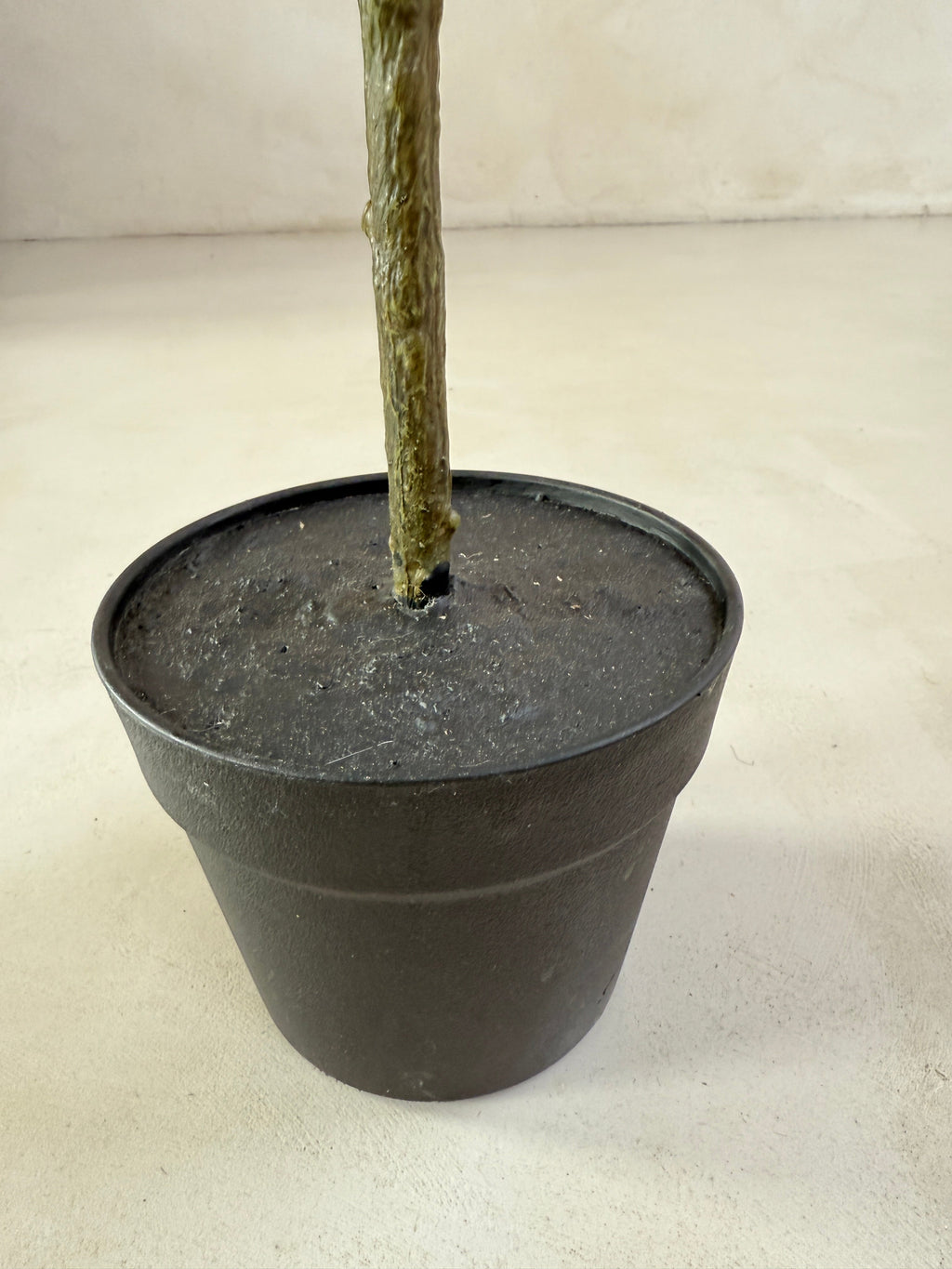 Faux potted fig tree 210cm