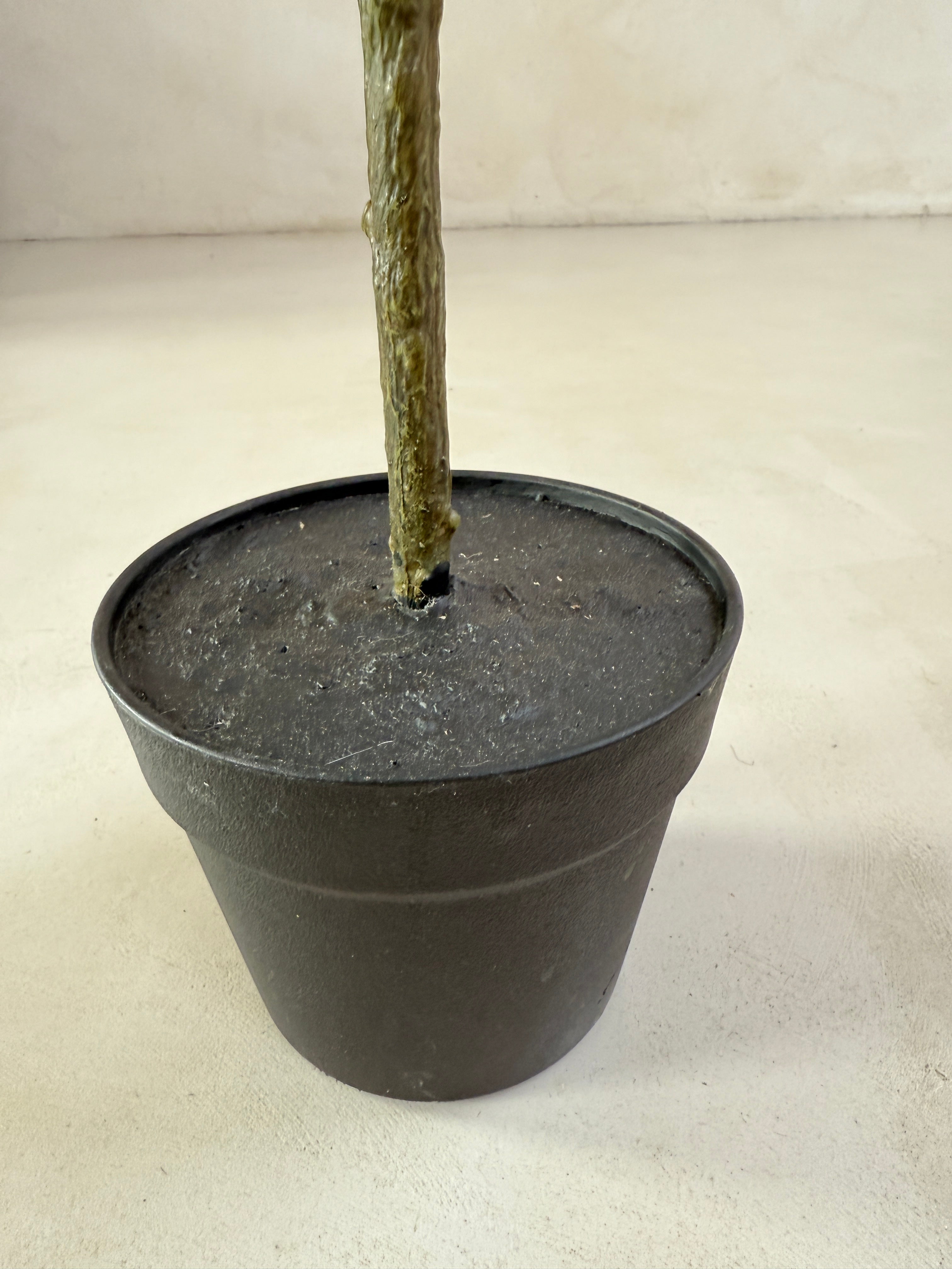 Faux potted fig tree 210cm
