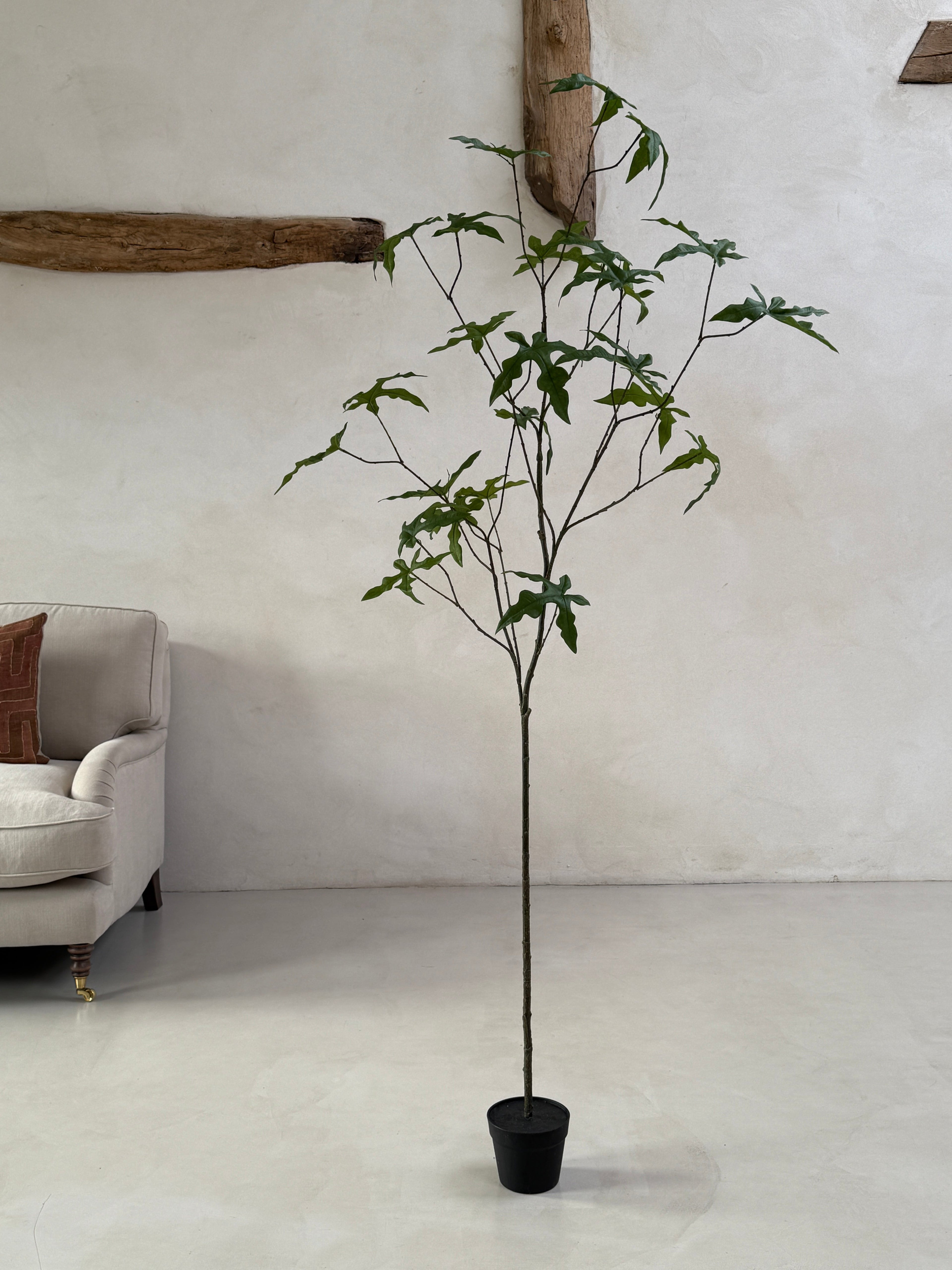 Faux potted fig tree 210cm