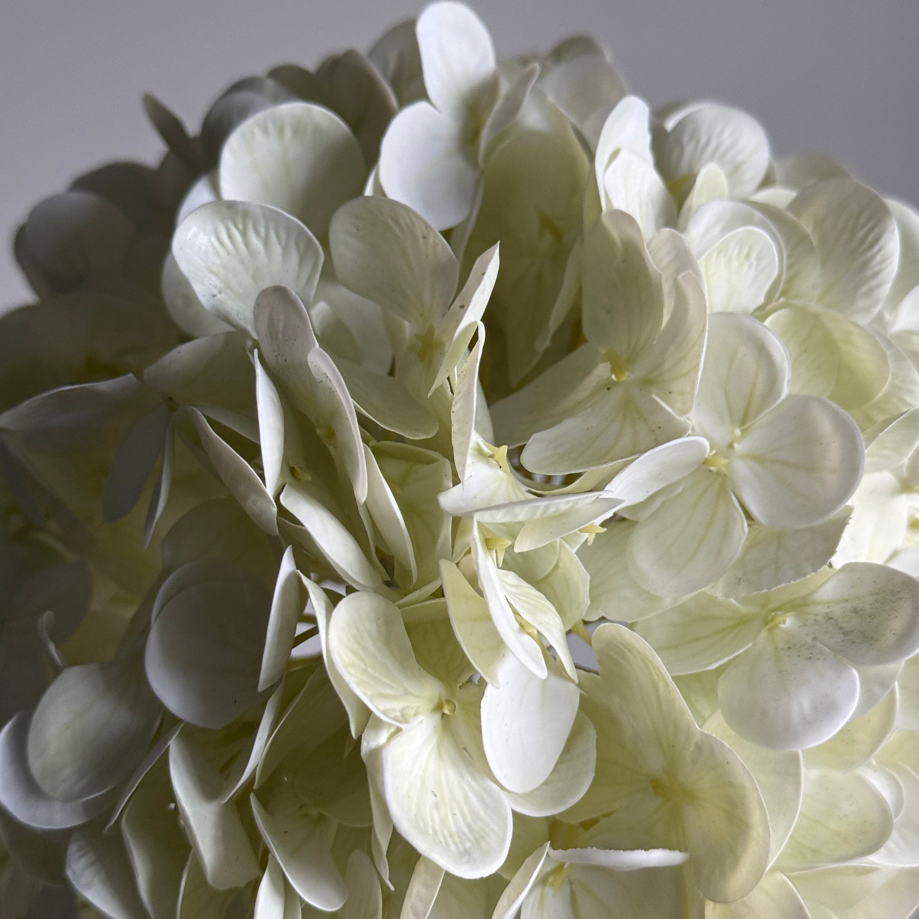 Faux single Hydrangea 47cm
