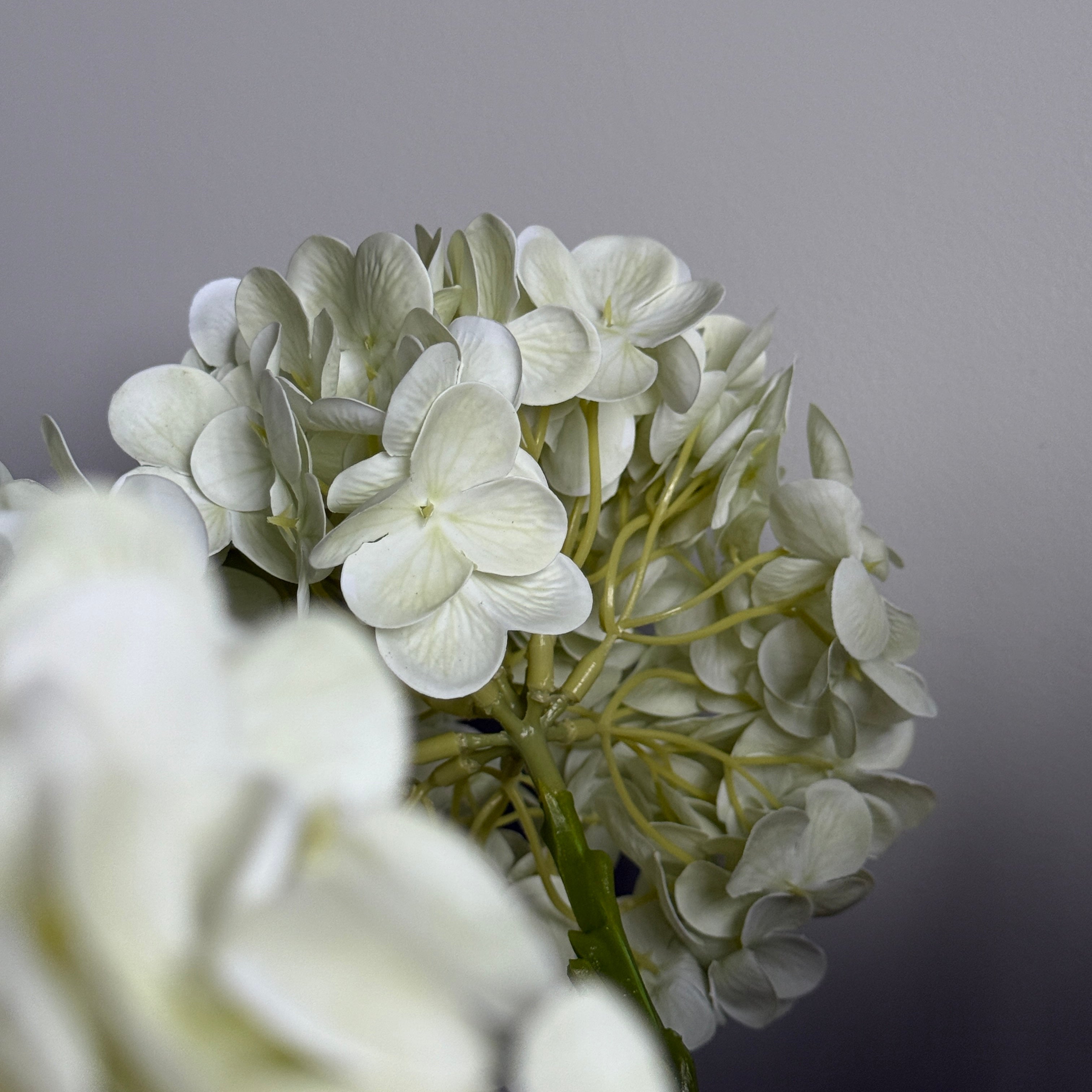 Faux single Hydrangea 47cm