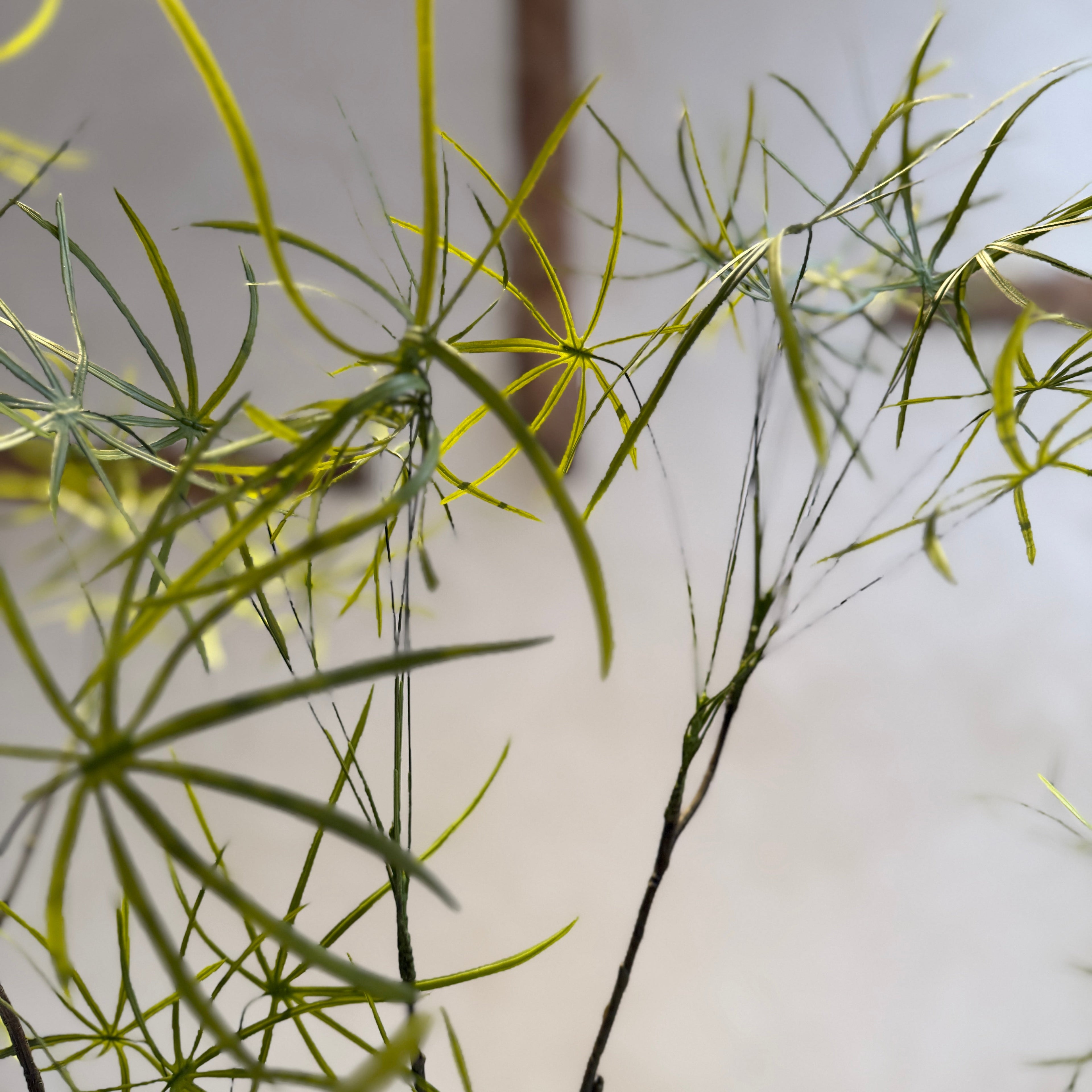 Faux tall bamboo tree 223cm