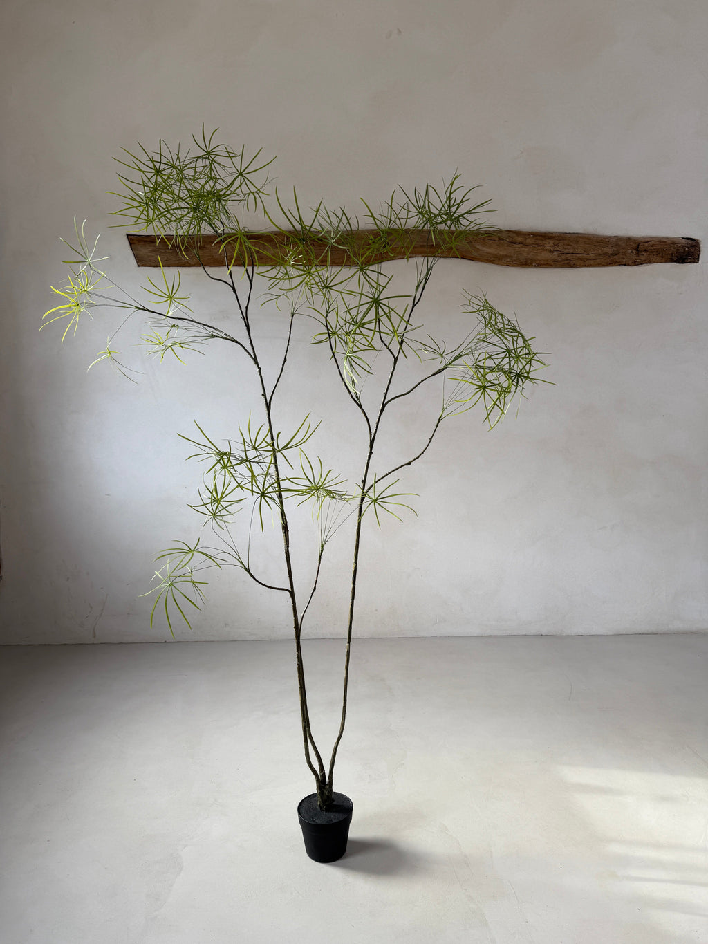 Faux tall bamboo tree 223cm