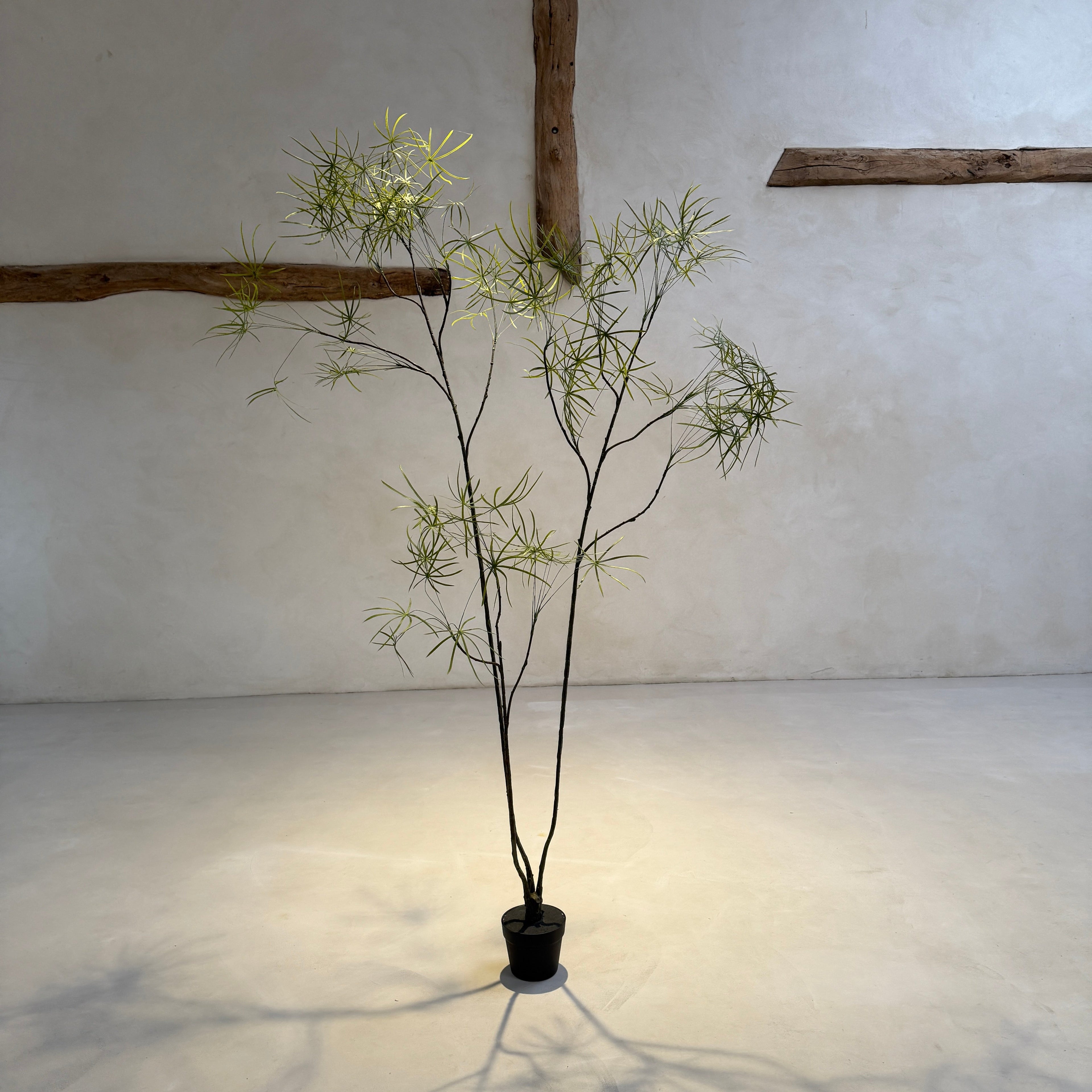 Faux tall bamboo tree 223cm
