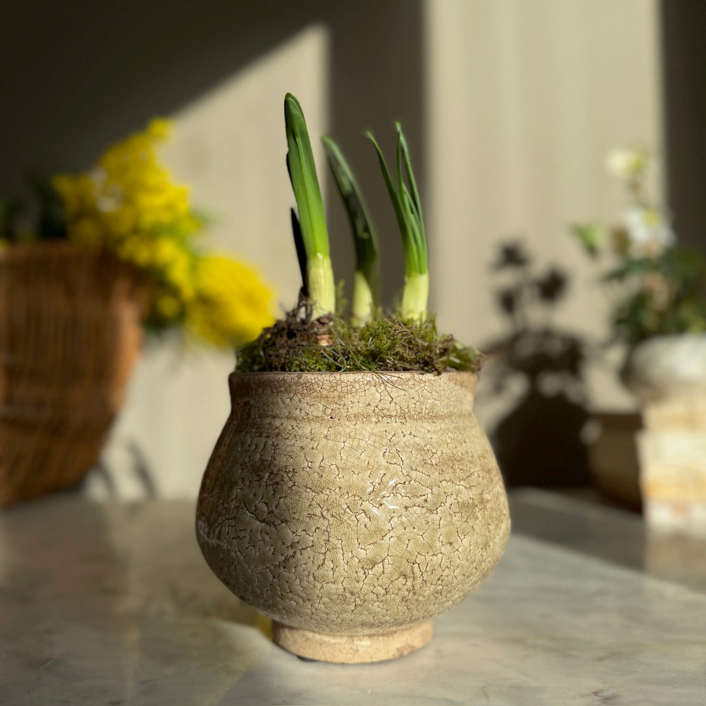 Green Crackle Glaze Pot | Vivian