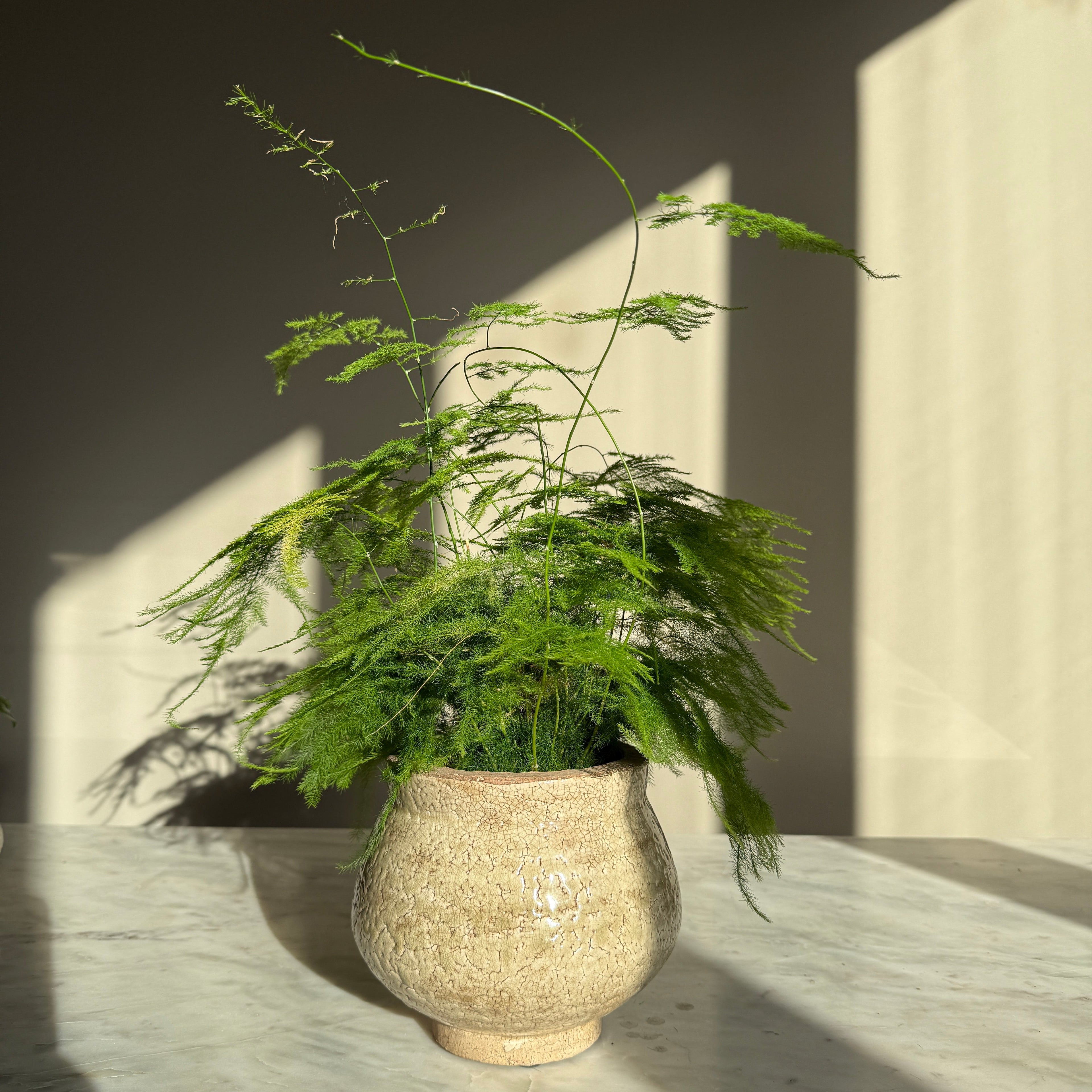 Green Crackle Glaze Pot | Vivian