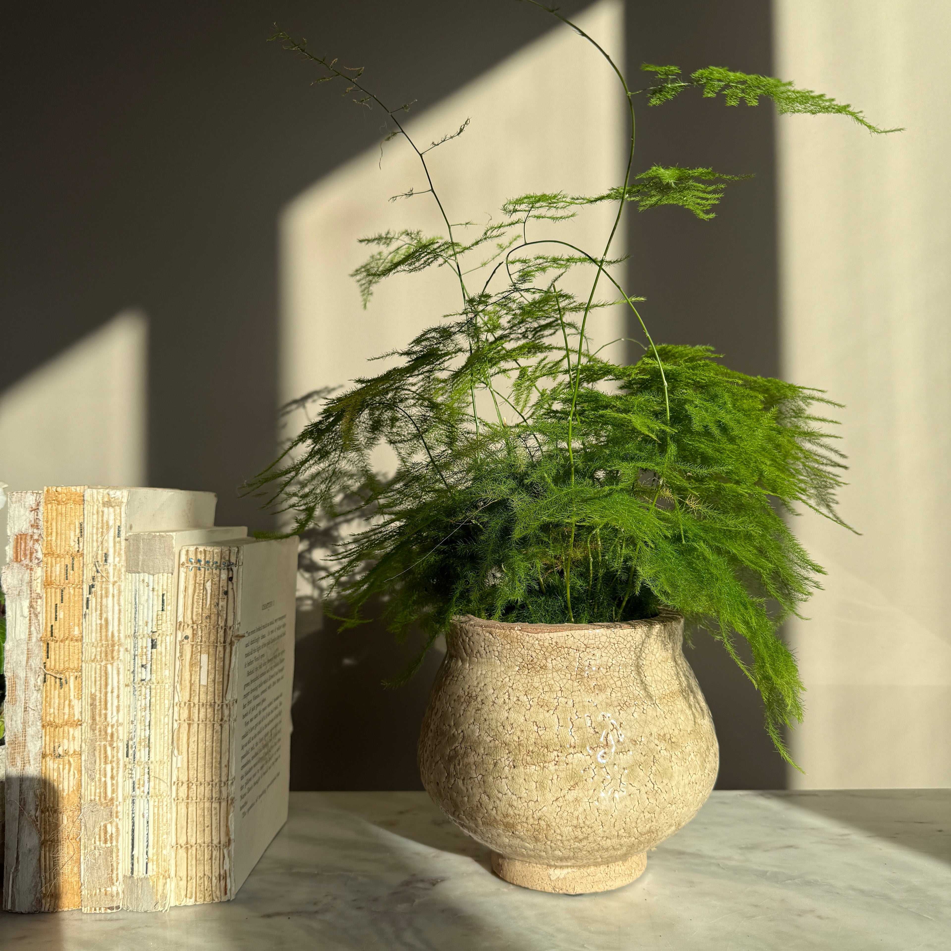 Green Crackle Glaze Pot | Vivian