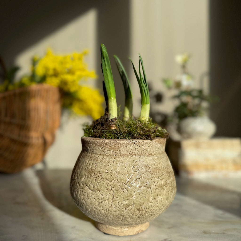 Green Crackle Glaze Pot | Vivian