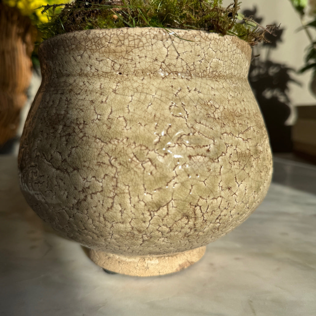 Green Crackle Glaze Pot | Vivian