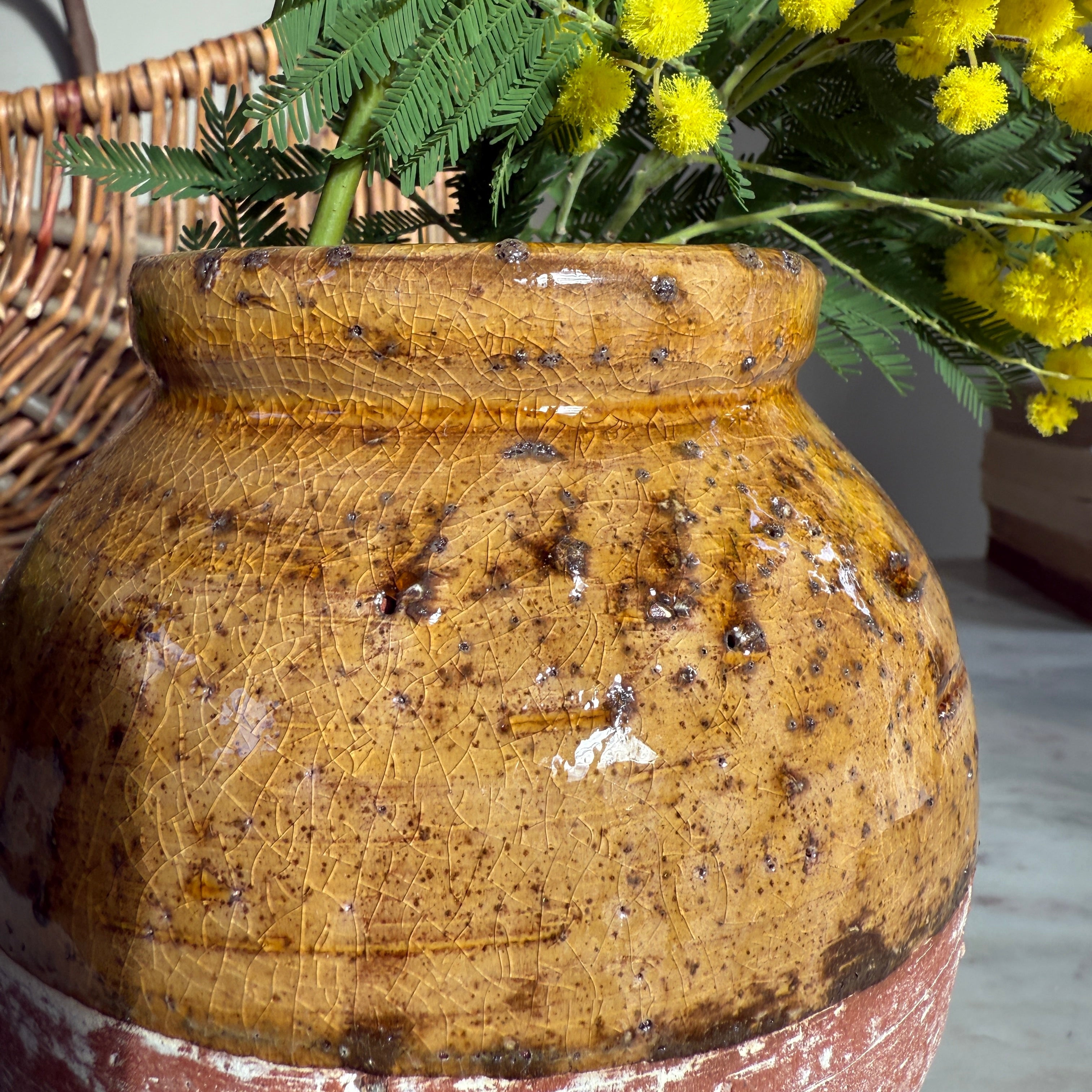 Half glazed decorative pot | Audrey