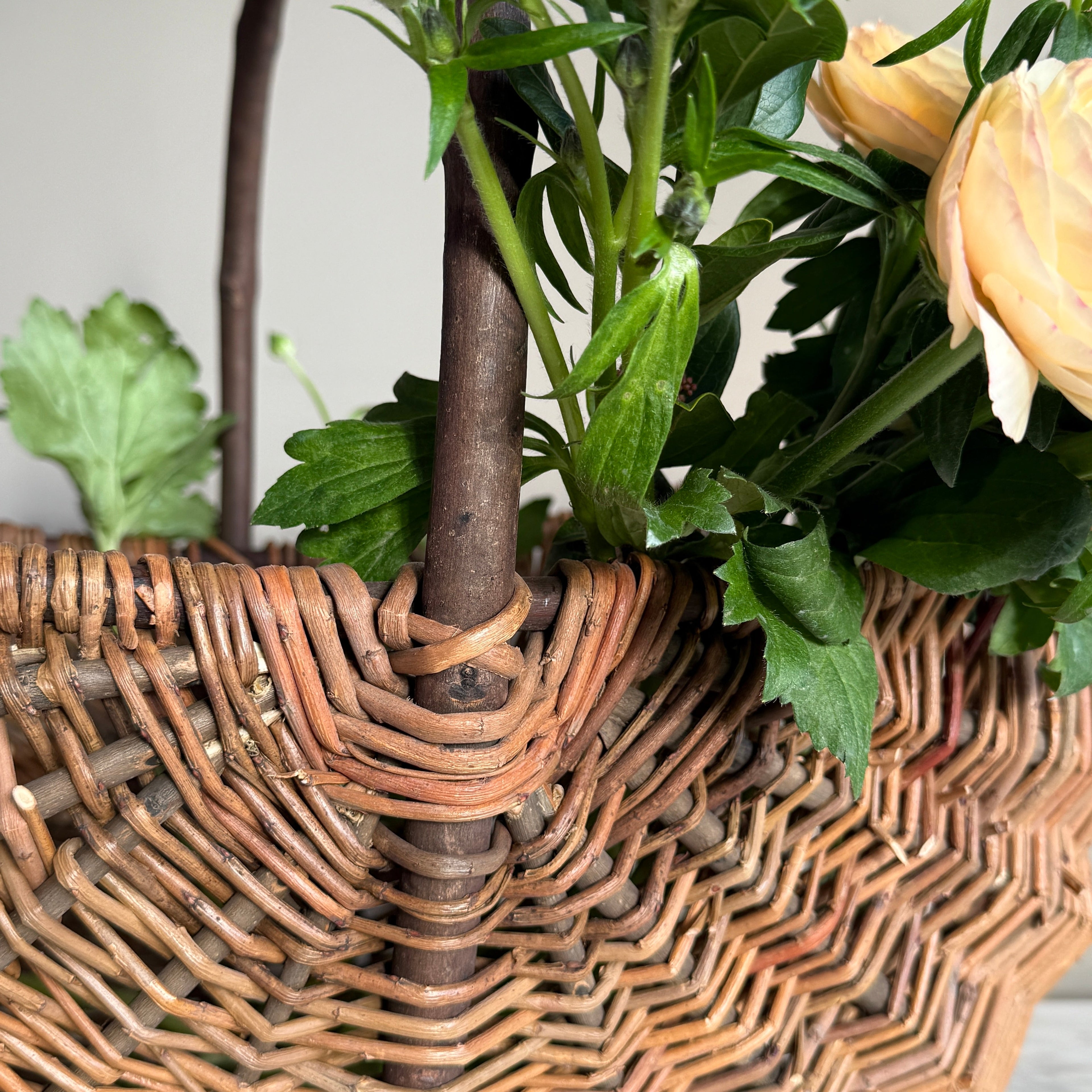 Hand woven willow trug | Katrina