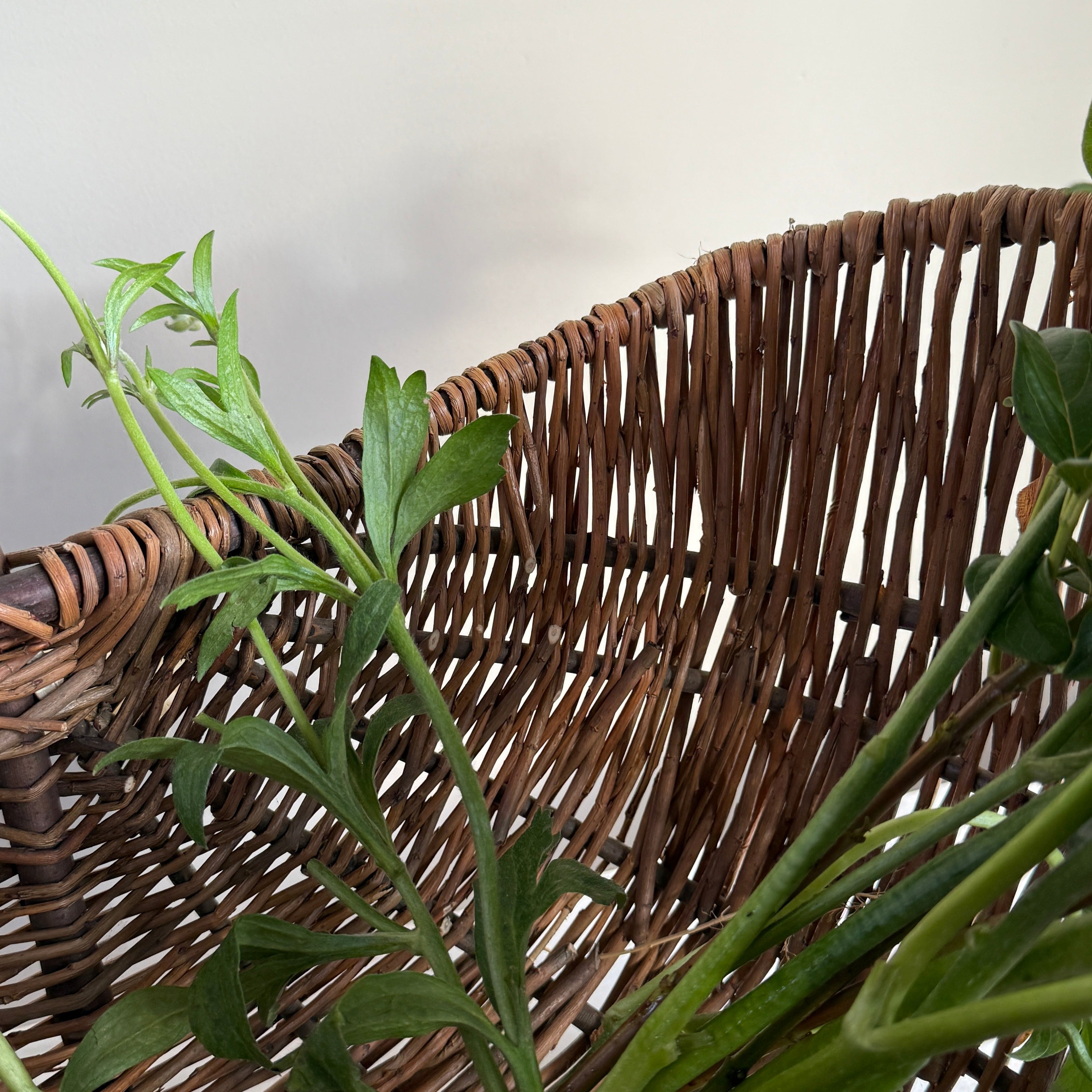 Hand woven willow trug | Katrina