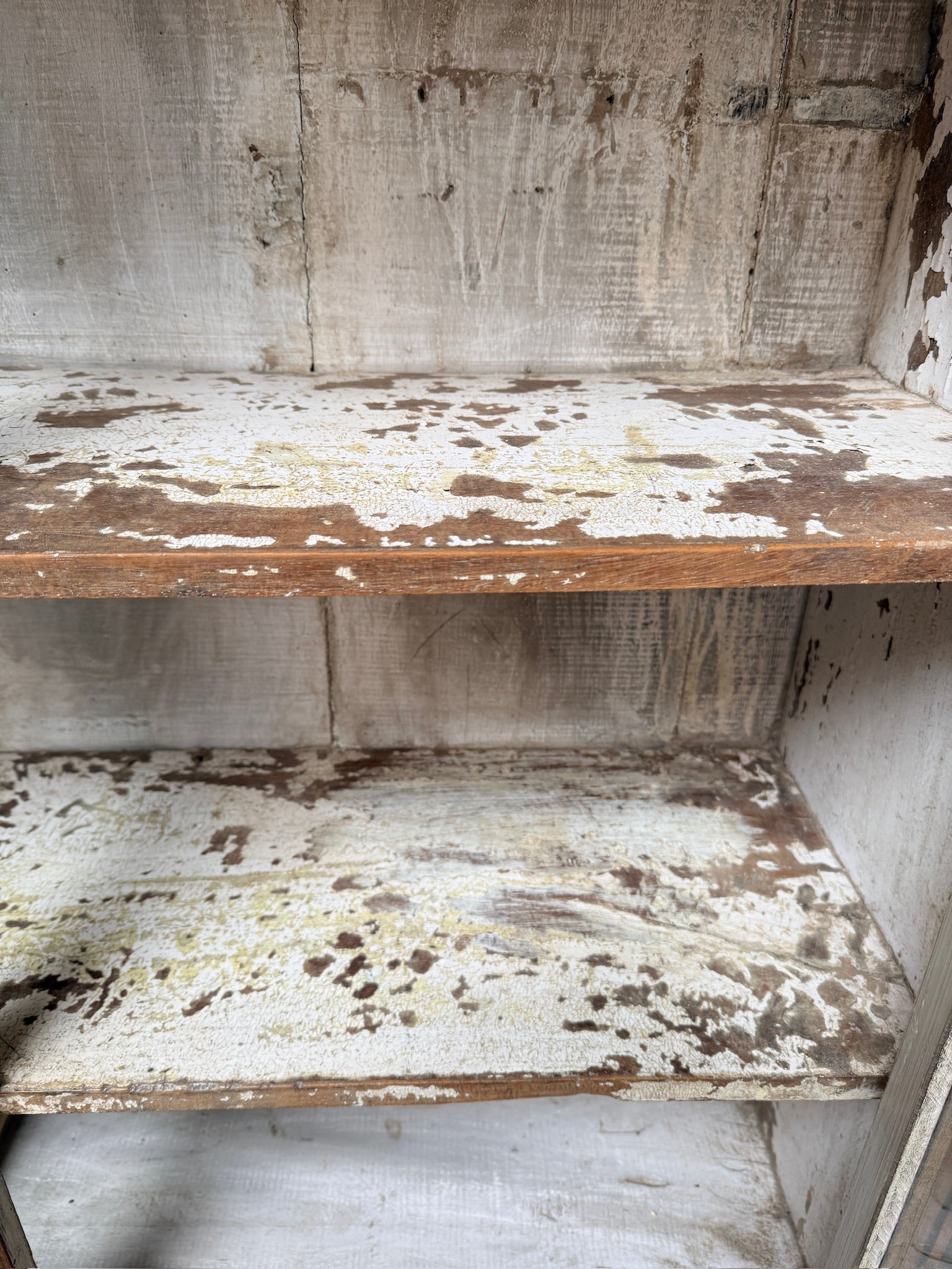Large vintage glazed wooden display cabinet | Artie