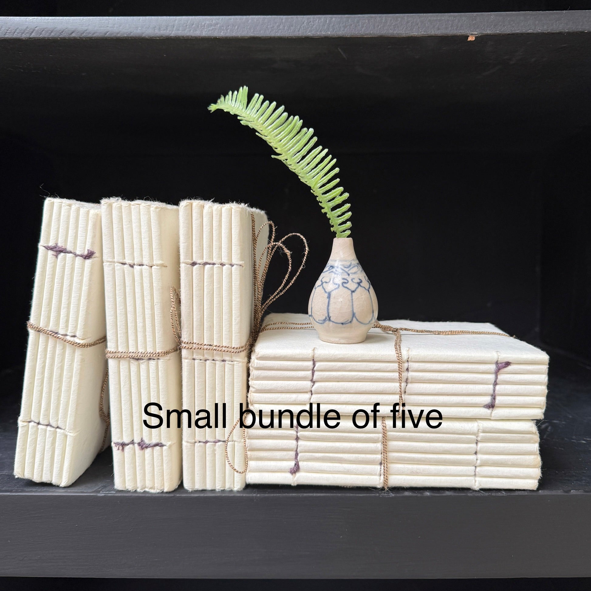 Parchment paper | Group of five decorative books