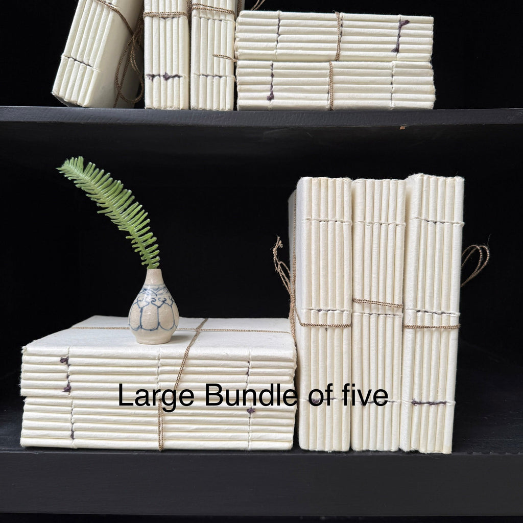 Parchment paper | Group of five decorative books