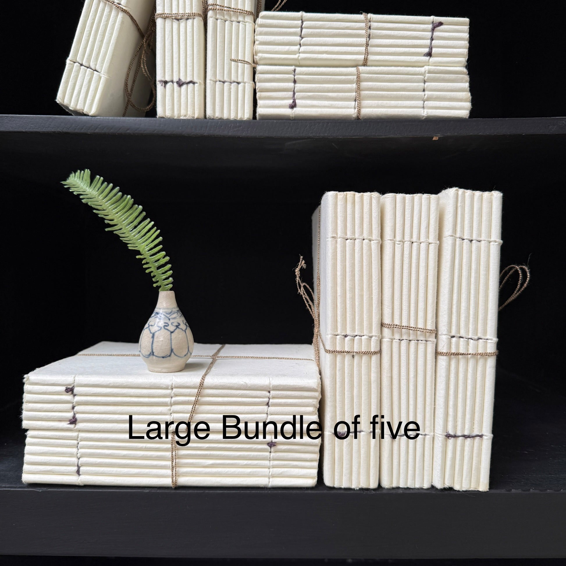 Parchment paper | Group of five decorative books
