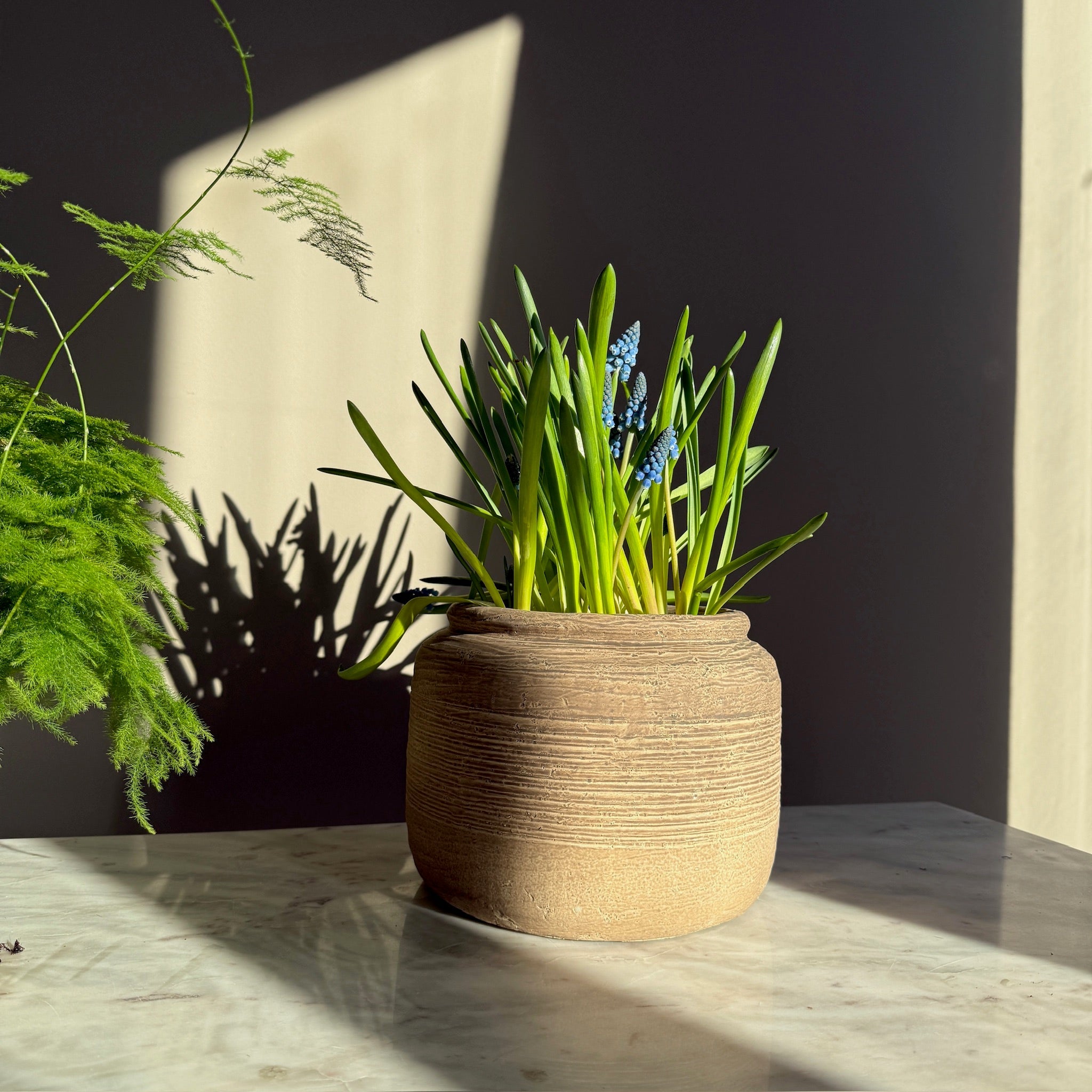 Rustic Ribbed Plant Pot | Fallon
