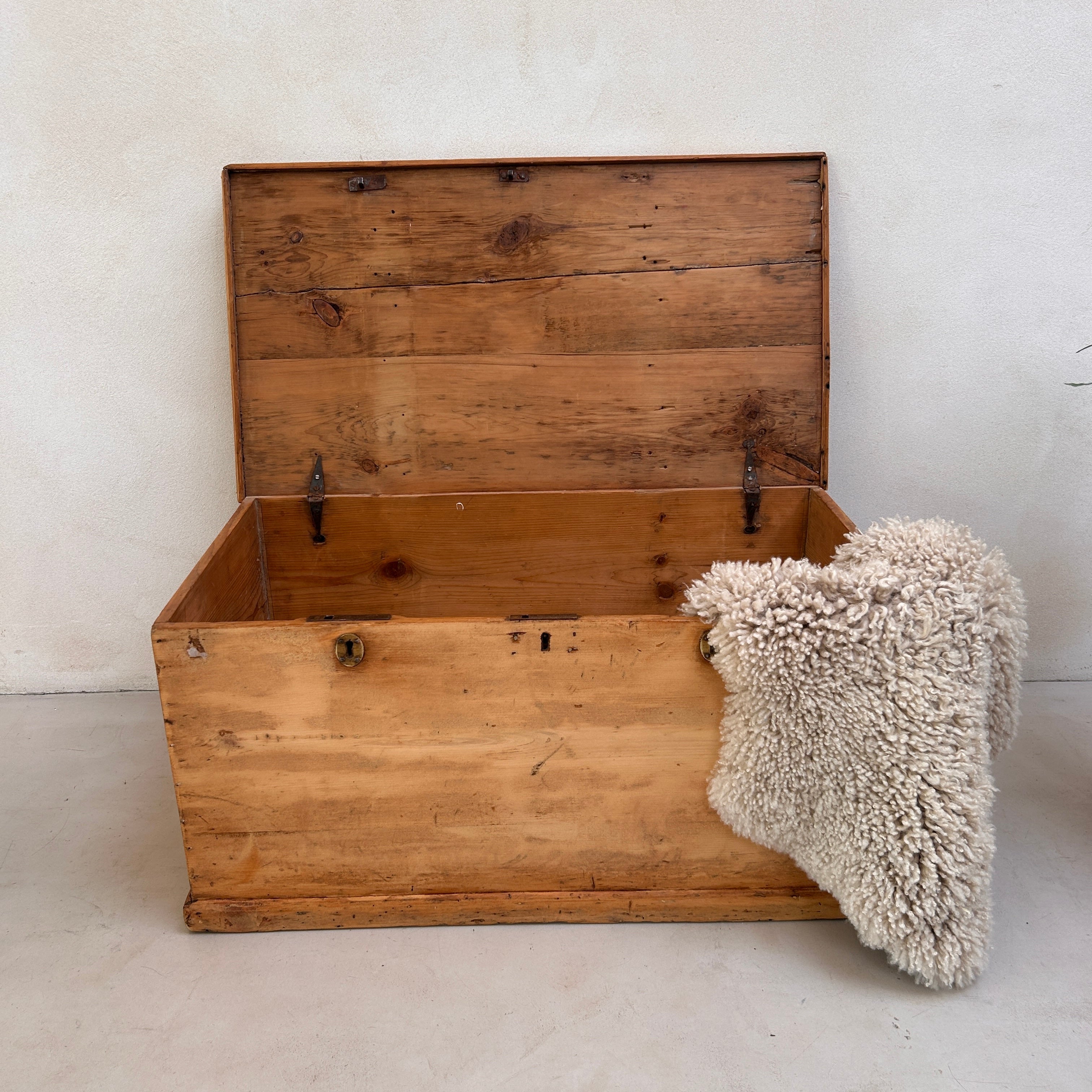 Vintage Blanket Box | Poynings