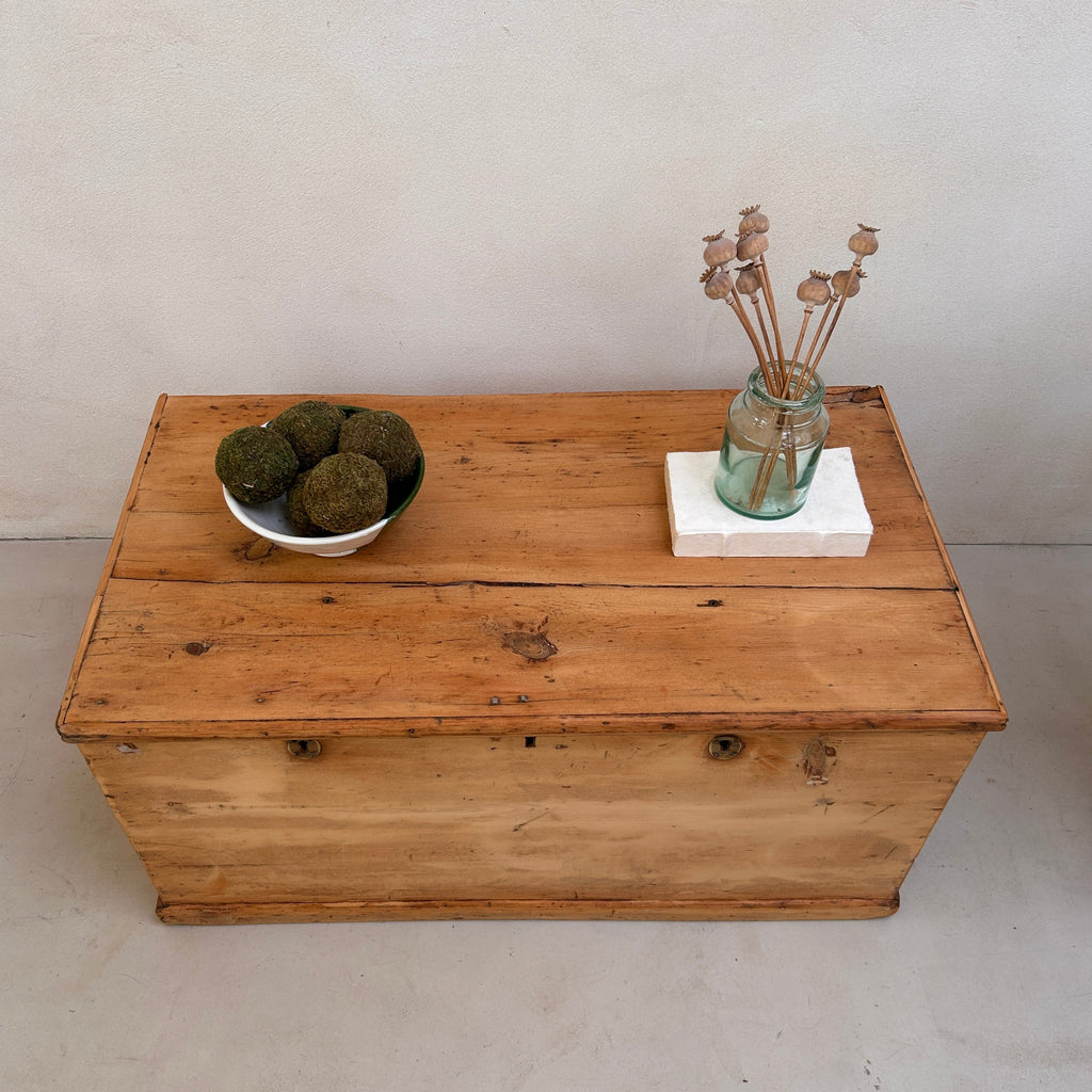Vintage Blanket Box | Poynings