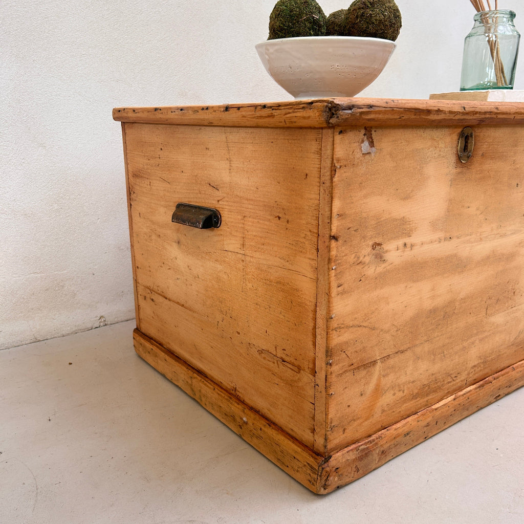 Vintage Blanket Box | Poynings